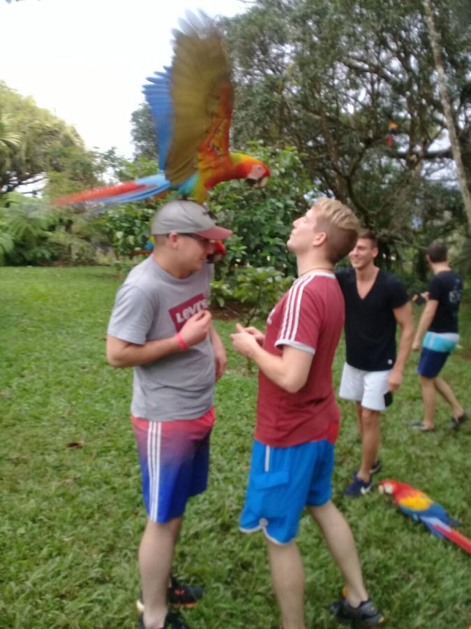 Hostel Orozco - Costa Rica Rio Cuarto Ngoại thất bức ảnh