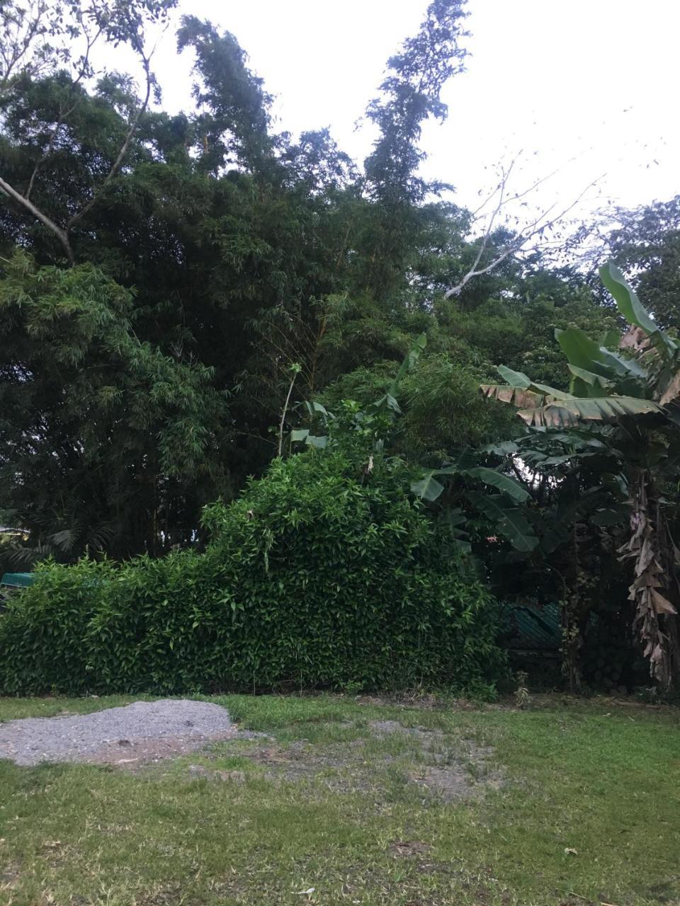 Hostel Orozco - Costa Rica Rio Cuarto Ngoại thất bức ảnh